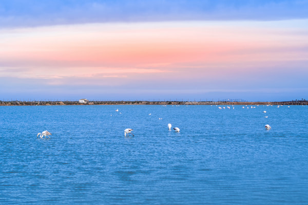 Imagen de Salinas y Arenales de San Pedro del Pinatar