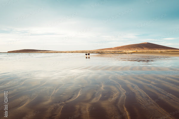 Imagen de Playa del Médano