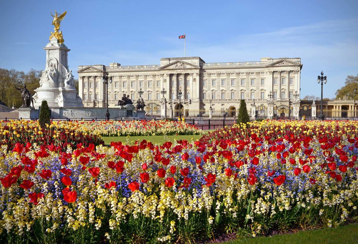 Imagen de Palacio de Buckingham