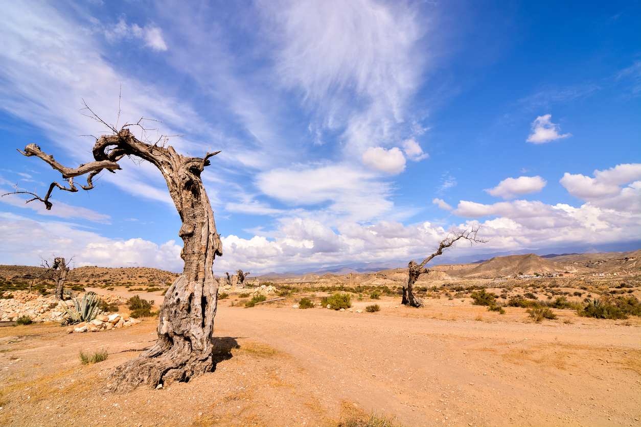 Imagen de Paraje Natural del Desierto de Tabernas