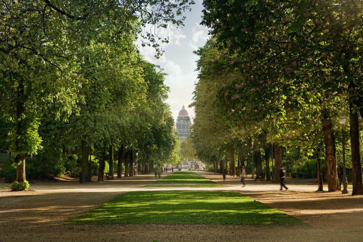 Imagen de Parque de Bruselas