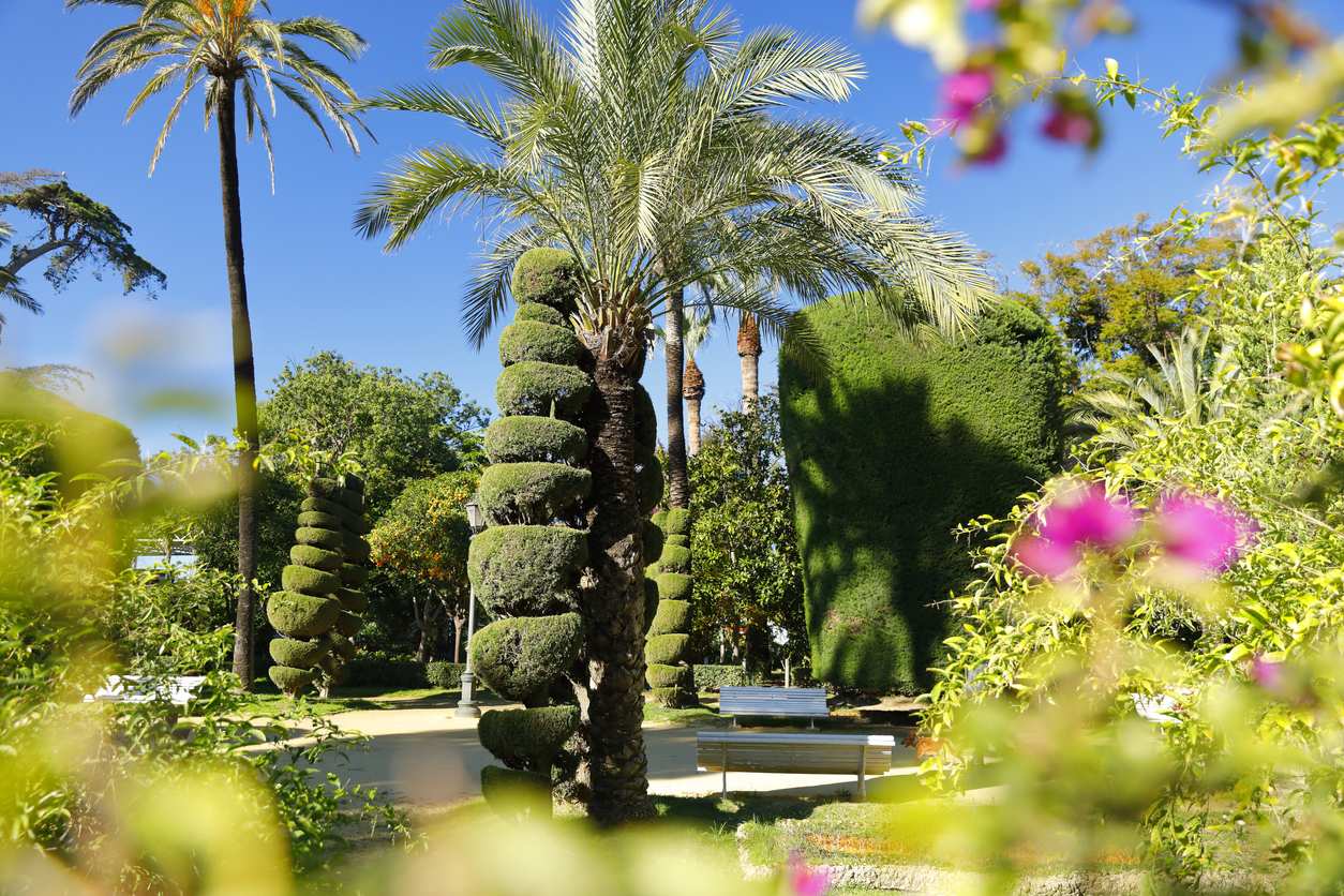 Imagen de Parque Genovés