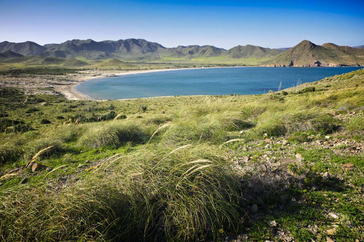 Imagen de Parque Natural Cabo de Gata-Níjar