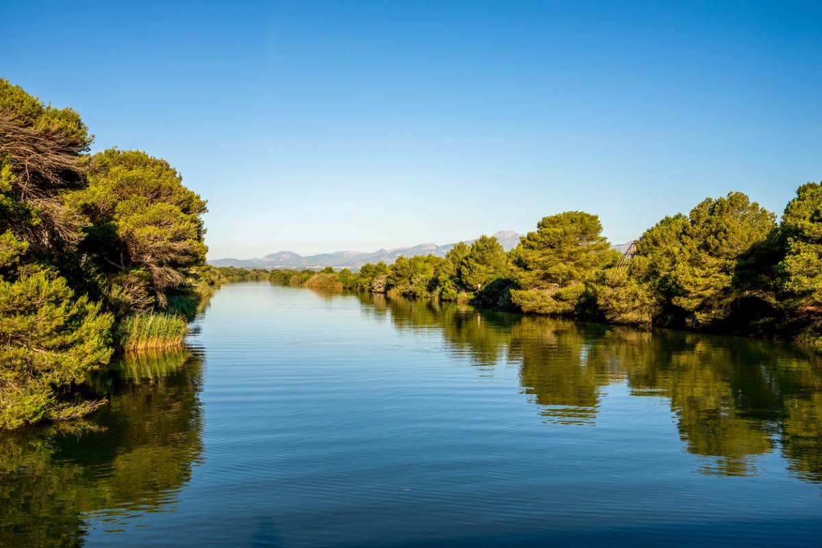 Imagen de Parque Natural de la Albufera