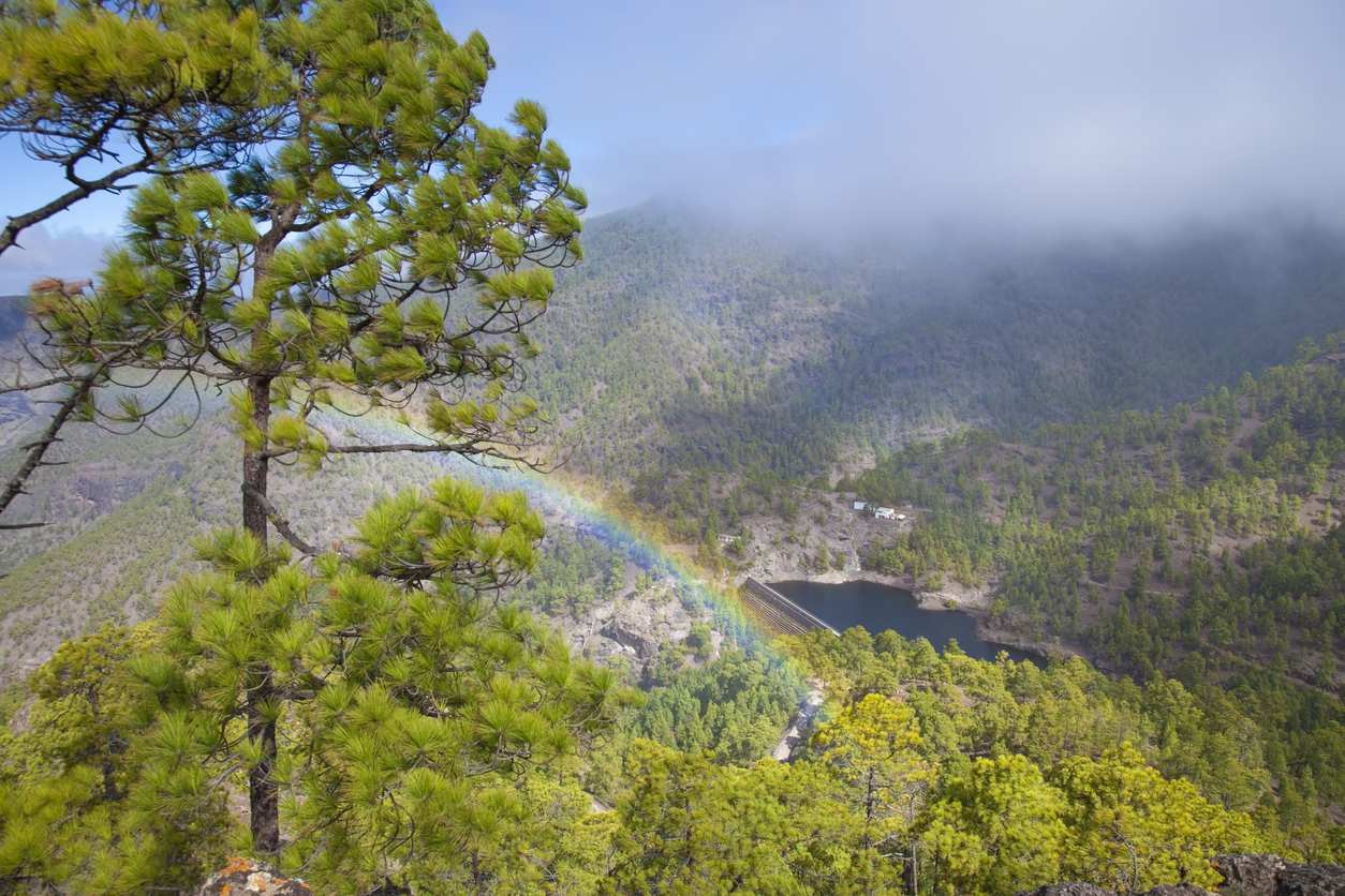 Imagen de Parque Natural de Tamadaba