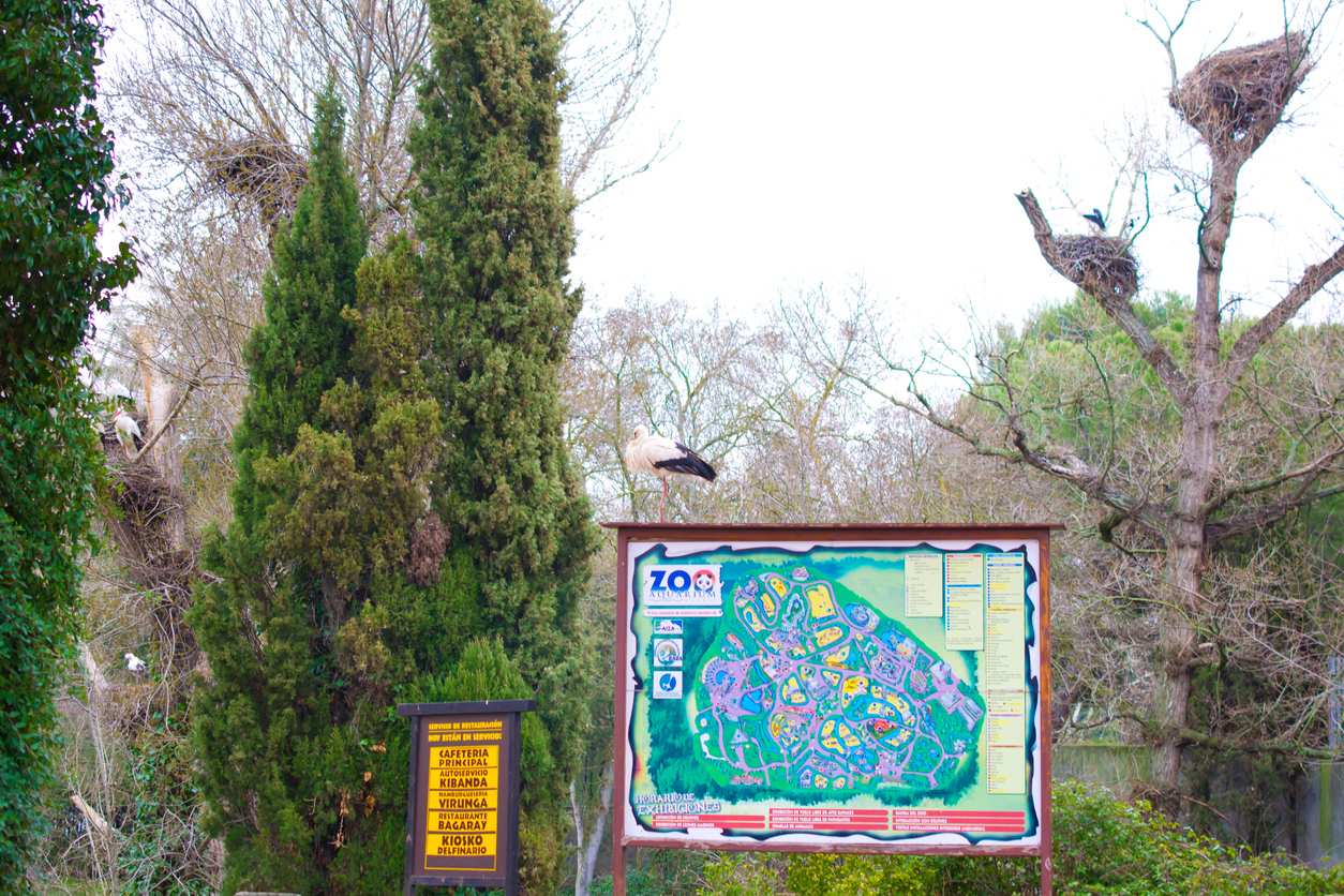 Imagen de Parque Zoológico de Madrid