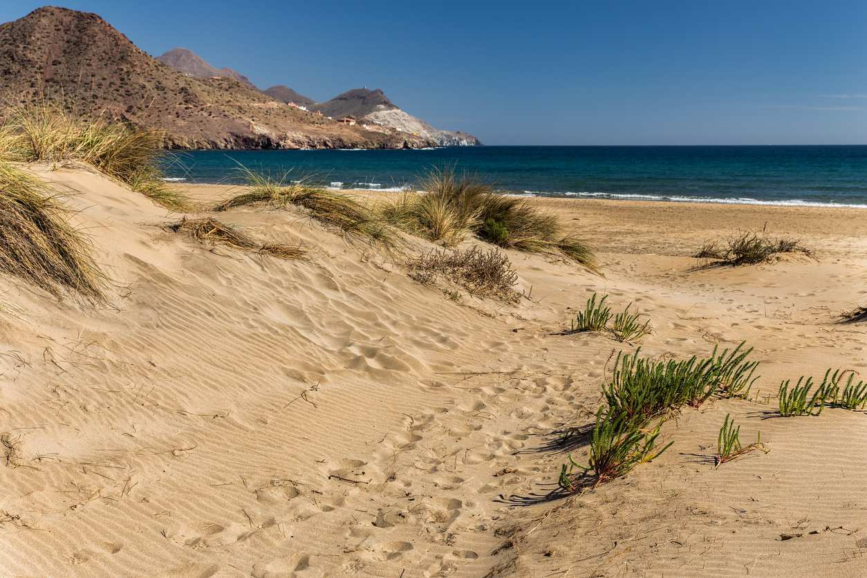 Imagen de Playa de los Genoveses