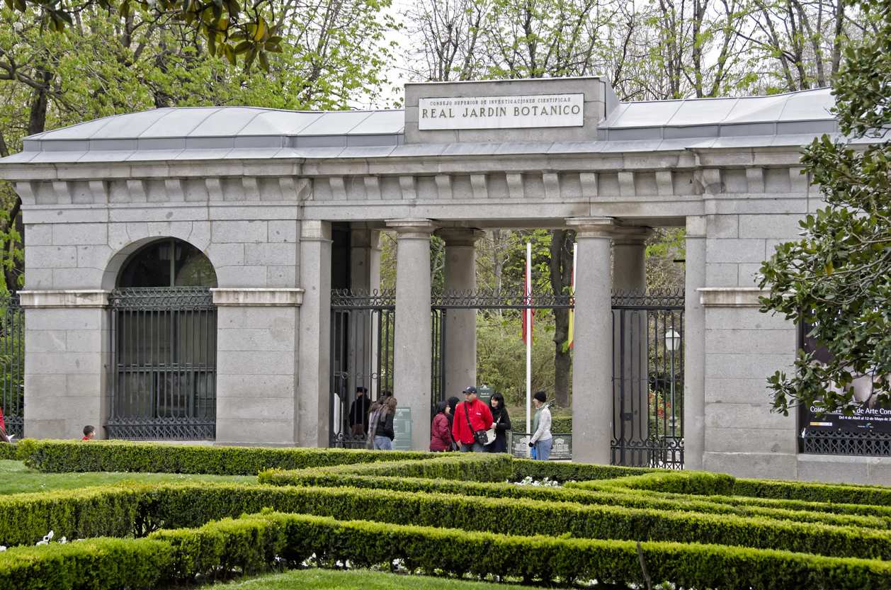 Imagen de Real Jardín Botánico