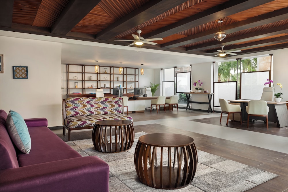 Junior Suite Sun Club Frente al Mar Cama King del hotel Sunscape Coco Punta Cana. Foto 4