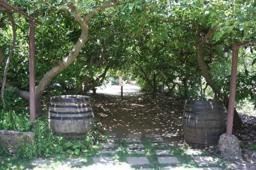 Casa Vista Montaña 1 habitación Sofá Cama incluido 1 Cama doble kitchenette del hotel Finca El Vergel Rural. Foto 22