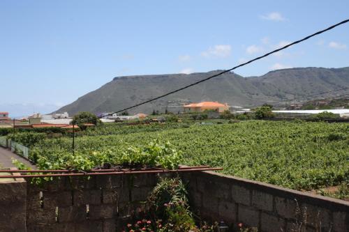 Casa con 1 dormitorio del hotel Finca El Vergel Rural. Foto 20