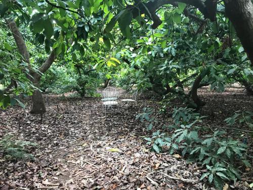 Casa Vista Piscina Vista Jardin 1 habitación Sofá Cama incluido 2 Camas individuales del hotel Finca El Vergel Rural. Foto 2