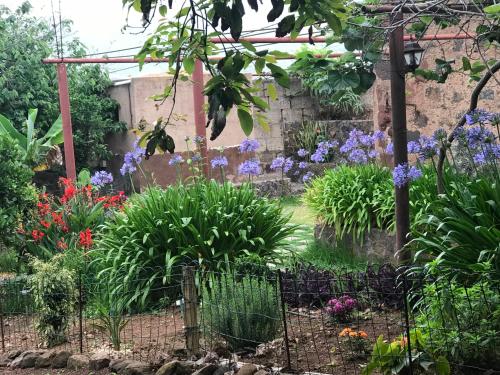 Casa Vista Piscina Vista Jardin 1 habitación Sofá Cama incluido 2 Camas individuales del hotel Finca El Vergel Rural. Foto 4