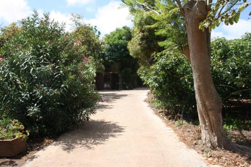 Casa Vista Piscina Vista Jardin 1 habitación Sofá Cama incluido 2 Camas individuales del hotel Finca El Vergel Rural. Foto 10