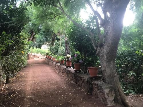 Casa con 1 dormitorio del hotel Finca El Vergel Rural. Foto 1