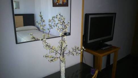 Habitación individual del hotel Zeus. Foto 1