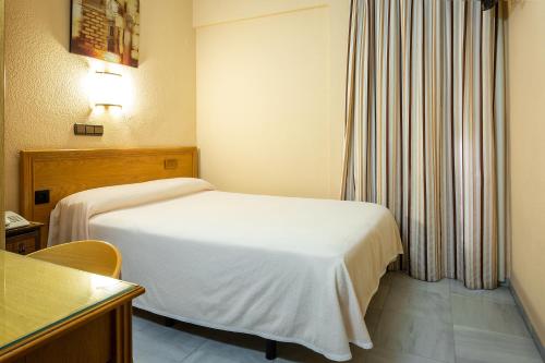 Habitación individual con terraza y parking del hotel Zeus. Foto 2