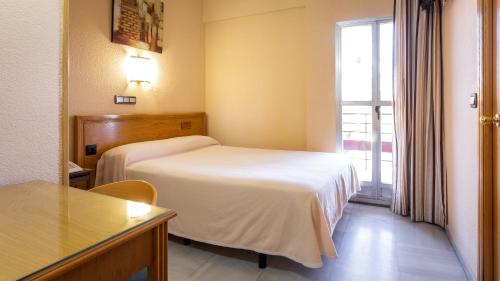 Habitación individual con terraza y parking del hotel Zeus. Foto 4