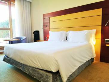 Habitación doble Business del hotel Abba Garden