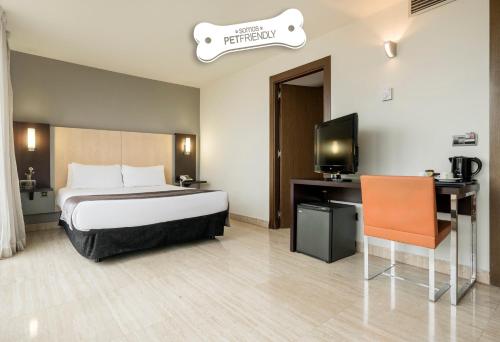 Habitación Doble - Se aceptan mascotas del hotel Ilunion Almirante