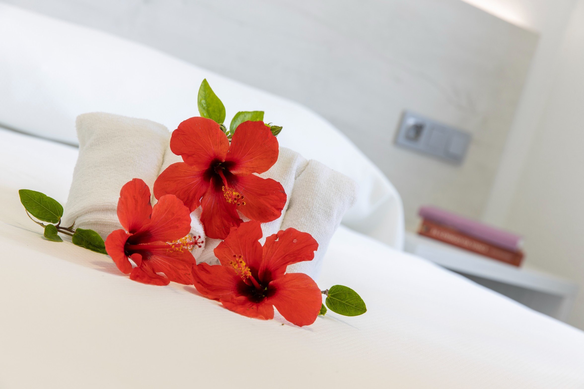 Apartamento Suite del hotel Bcl Levante Lux. Foto 6