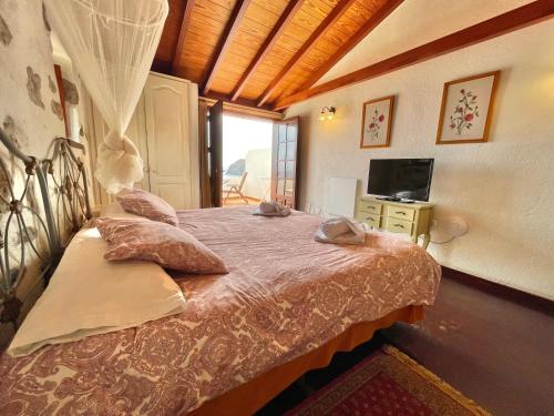 Villa de 1 dormitorio del hotel Los Delfines. Foto 11