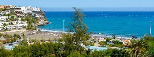 One-Bedroom Apartment del hotel New Miami Playa Apartaments. Foto 11