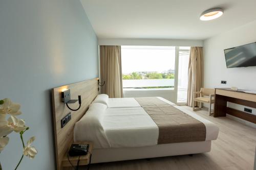 Estudio Superior del hotel Flamero