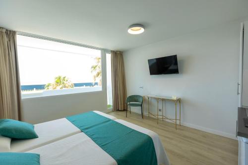 Estudio Superior Sofá Cama incluido 2 Camas individuales kitchenette del hotel Flamero. Foto 3