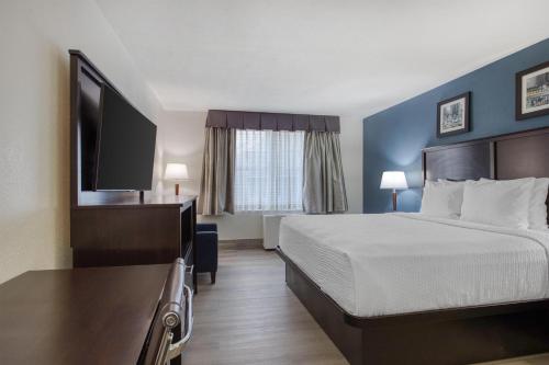 Suite King - No fumadores del hotel Best Western Gregory
