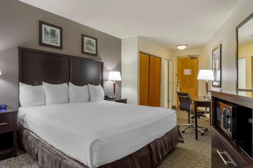 Suite con cama extragrande - No fumadores del hotel Best Western Gregory