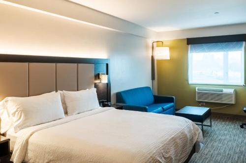 Suite con cama extragrande - No fumadores del hotel Holiday Inn Express Maspeth