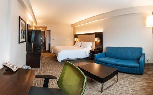 Suite con cama extragrande - No fumadores del hotel Holiday Inn Express Maspeth. Foto 1
