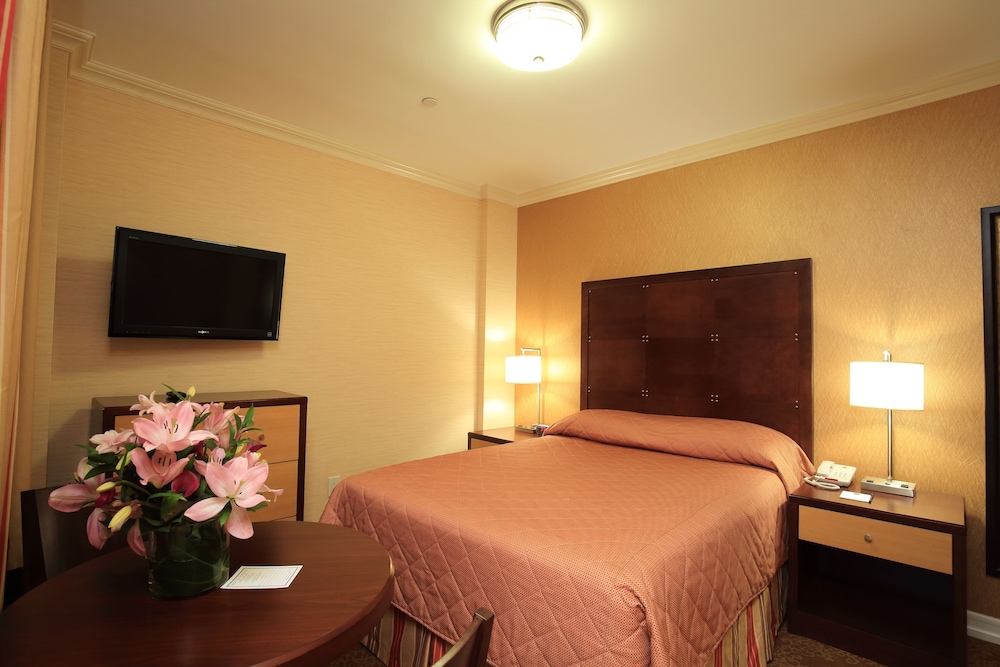 Estudio, 1 cama de matrimonio, cocina básica del hotel Radio City