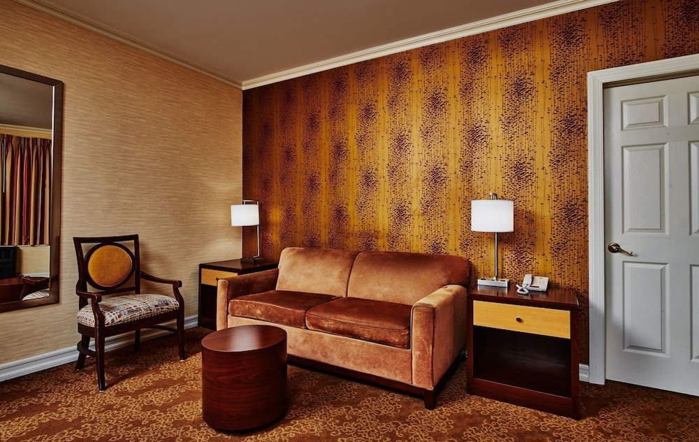 Apartamento, 1 cama de matrimonio grande con sofá cama, cocina básica del hotel Radio City. Foto 5