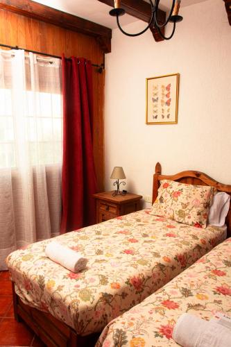 Twin room del hotel Las Cañadas. Foto 12