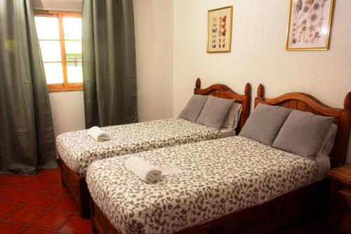 Habitación Doble - 2 camas del hotel Las Cañadas. Foto 14