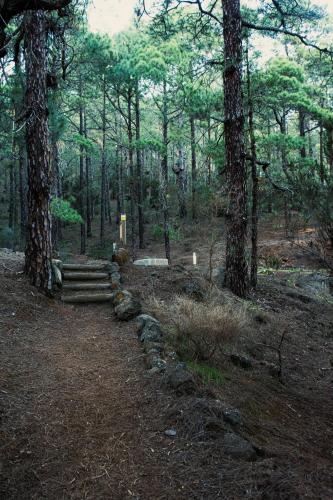 Habitación Doble Superior del hotel Las Cañadas. Foto 28