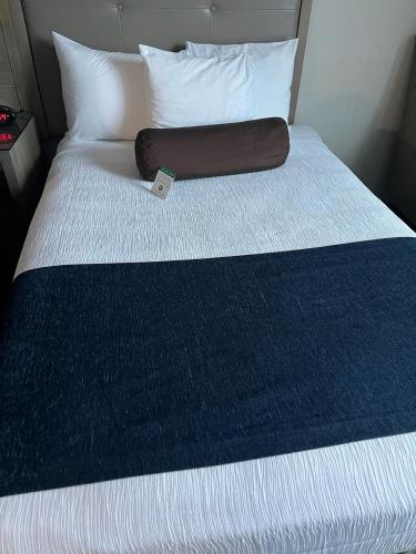 Habitación - No fumadores - Cama grande del hotel Robert Treat Hotel. Foto 6