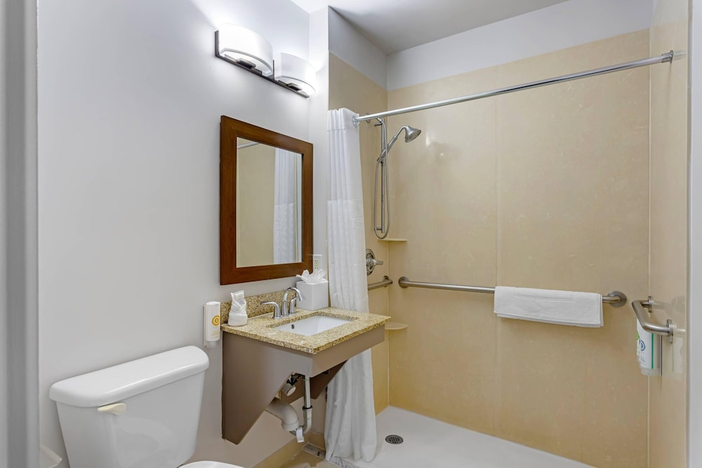 Habitación, 1 cama de matrimonio, accesible para personas con discapacidad, no fumadores del hotel Comfort Inn Staten Island. Foto 4