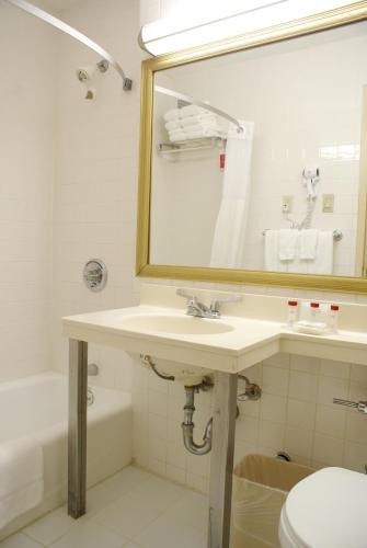 Habitación - No fumadores - Cama grande del hotel Ramada by Wyndham Jersey City. Foto 1