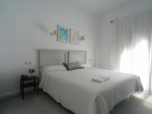 Habitación Doble - 1 o 2 camas del hotel Doña Blanca. Foto 2