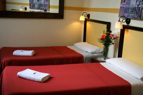 Habitación Doble con baño - 1 o 2 camas del hotel Nuevo Suizo. Foto 1