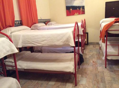 Cama en habitación compartida mixta de 10 camas del hotel Nuevo Suizo. Foto 2
