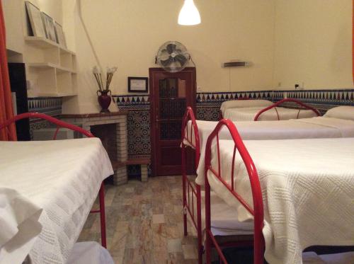 Cama en habitación compartida mixta de 10 camas del hotel Nuevo Suizo