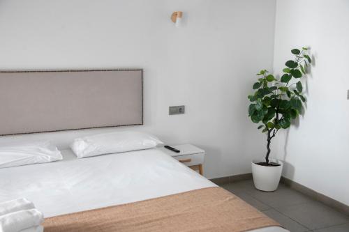 Habitación Doble Superior del hotel Vitium Córdoba. Foto 7