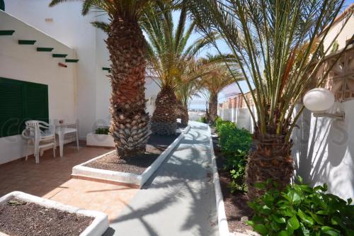 Estudio del hotel Cotillo Lagos. Foto 11