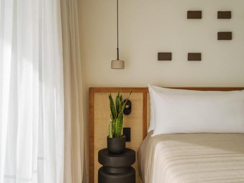 Suite Junior The Reserve con vistas al océano del hotel Paradisus by Meliá Fuerteventura