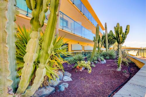 Habitación Individual Estándar del hotel SBH Club Paraiso Playa