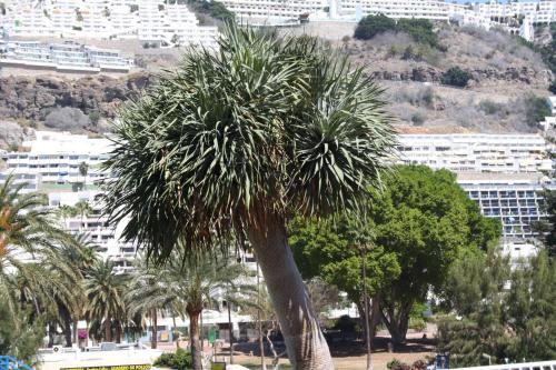One-Bedroom Apartment del hotel Mayaguez. Foto 45